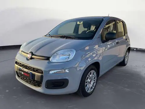 Used FIAT PANDA Hybrid 2021 Ad 