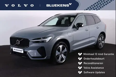 Used VOLVO XC60 Hybrid 2024 Ad 