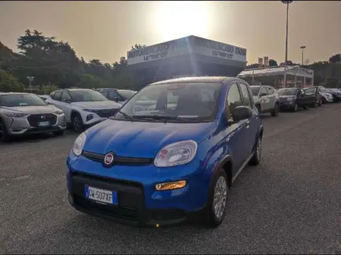 Annonce FIAT PANDA  2024 d'occasion 