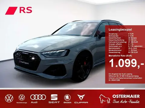 Used AUDI RS4 Petrol 2024 Ad Germany