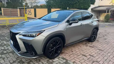 Used LEXUS NX Hybrid 2023 Ad 