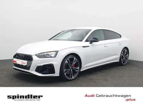 Used AUDI A5 Diesel 2024 Ad 