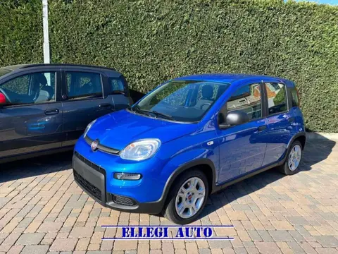 Annonce FIAT PANDA Hybride 2024 d'occasion 