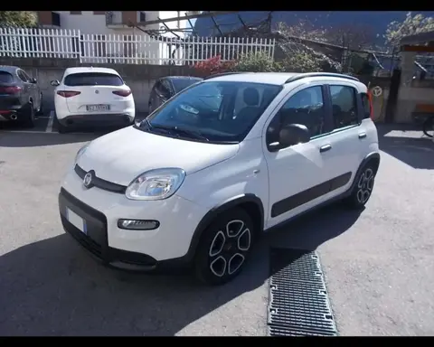 Used FIAT PANDA Hybrid 2022 Ad 