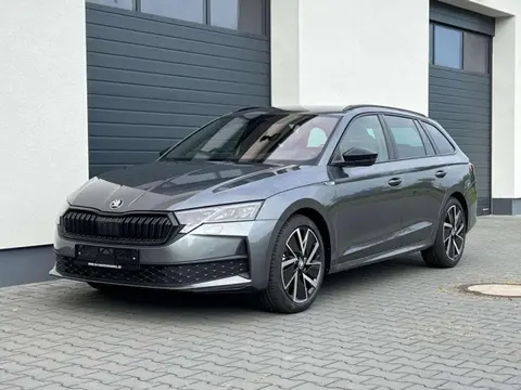 Annonce SKODA OCTAVIA Essence 2024 d'occasion 