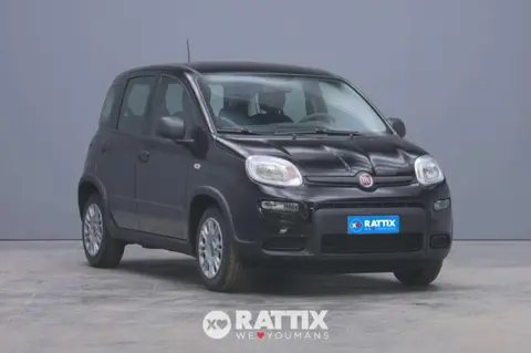 Annonce FIAT PANDA Hybride 2024 d'occasion 