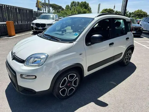 Used FIAT PANDA Hybrid 2022 Ad 