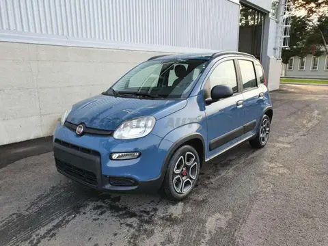 Annonce FIAT PANDA Hybride 2021 d'occasion 