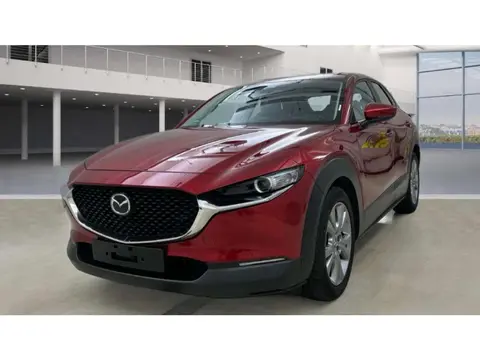 Annonce MAZDA CX-30 Essence 2021 d'occasion 