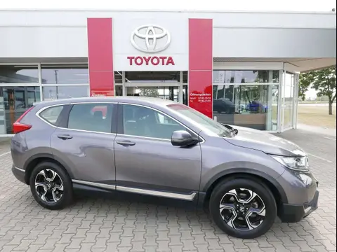 Used HONDA CR-V Petrol 2019 Ad 