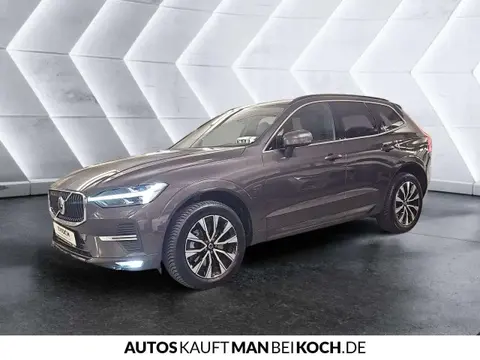 Annonce VOLVO XC60 Diesel 2023 d'occasion 