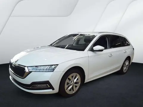 Annonce SKODA OCTAVIA Essence 2024 d'occasion 