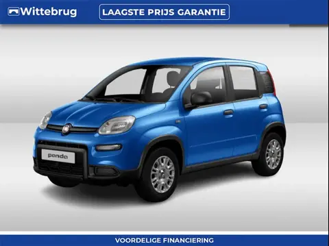 Used FIAT PANDA Hybrid 2024 Ad 