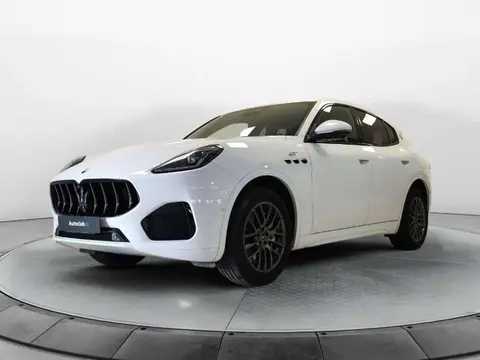 Used MASERATI GRECALE Hybrid 2022 Ad 