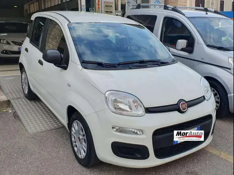 Annonce FIAT PANDA Hybride 2022 d'occasion 