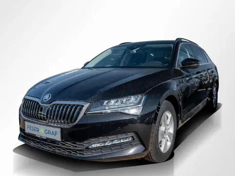 Annonce SKODA SUPERB Diesel 2024 d'occasion 