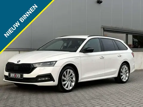 Annonce SKODA OCTAVIA Hybride 2021 d'occasion 