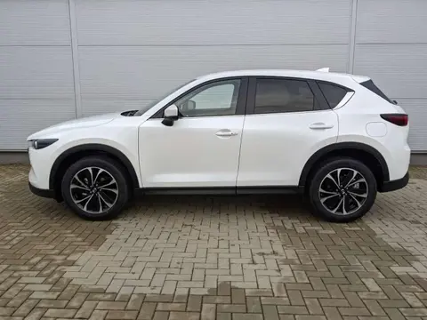 Annonce MAZDA CX-5 Diesel 2024 d'occasion 