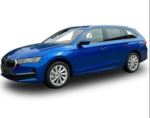 Annonce SKODA OCTAVIA Diesel 2024 d'occasion Allemagne