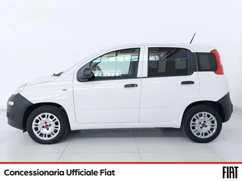 Annonce FIAT PANDA Hybride 2021 d'occasion 