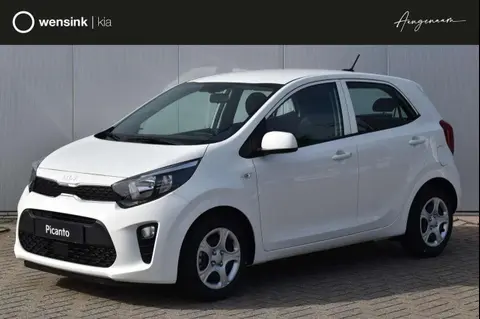 Annonce KIA PICANTO Essence 2024 d'occasion 