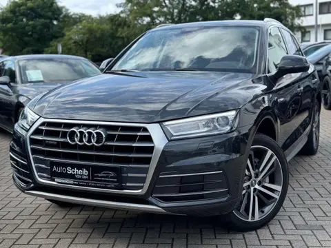 Used AUDI Q5 Diesel 2017 Ad 