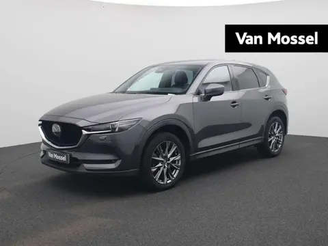 Used MAZDA CX-5 Petrol 2019 Ad 