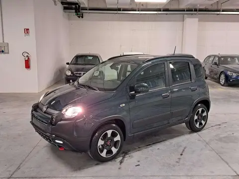 Used FIAT PANDA Hybrid 2024 Ad 