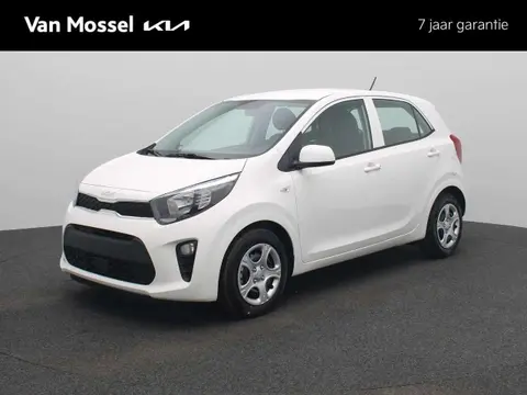 Annonce KIA PICANTO Essence 2024 d'occasion 