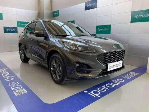 Used FORD KUGA Hybrid 2023 Ad 