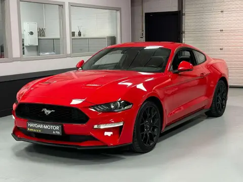 Annonce FORD MUSTANG Essence 2020 d'occasion 