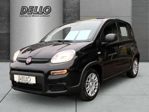 Annonce FIAT PANDA Essence 2024 d'occasion 