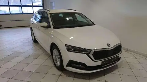 Annonce SKODA OCTAVIA Essence 2021 d'occasion 