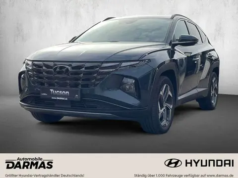 Annonce HYUNDAI TUCSON Hybride 2024 d'occasion 