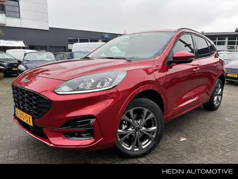 Annonce FORD KUGA Hybride 2023 d'occasion 