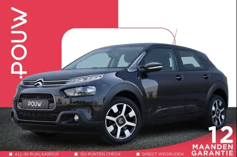 Used CITROEN C4 Petrol 2019 Ad 