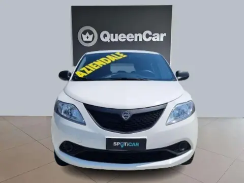 Used LANCIA YPSILON Hybrid 2021 Ad 