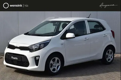 Annonce KIA PICANTO Essence 2024 d'occasion 