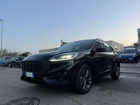 Annonce FORD KUGA Diesel 2023 d'occasion 