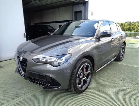 Annonce ALFA ROMEO STELVIO Diesel 2024 d'occasion 