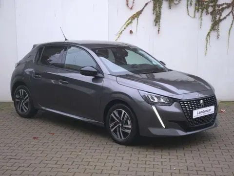 Used PEUGEOT 208 Petrol 2023 Ad 