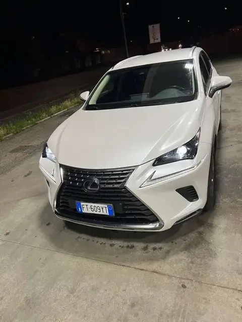 Used LEXUS NX Hybrid 2019 Ad 