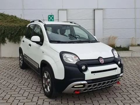 Annonce FIAT PANDA Essence 2019 d'occasion 