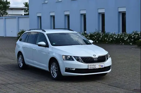 Annonce SKODA OCTAVIA Diesel 2018 d'occasion 