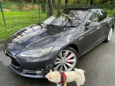 Annonce TESLA MODEL S Électrique 2014 d'occasion 