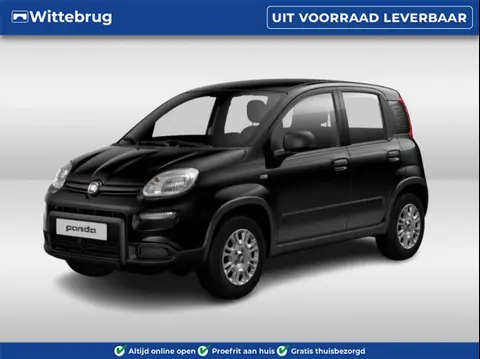 Annonce FIAT PANDA Hybride 2024 d'occasion 