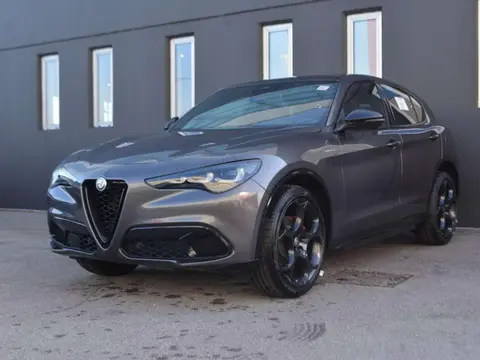 Used ALFA ROMEO STELVIO Diesel 2024 Ad 