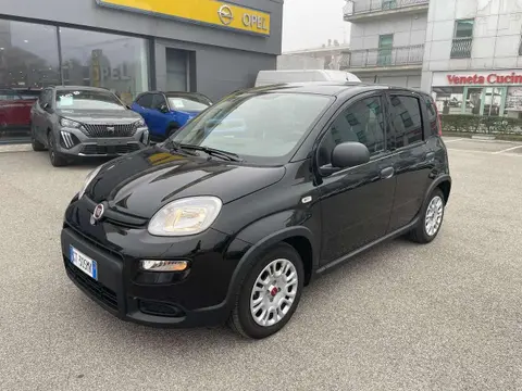 Annonce FIAT PANDA Hybride 2024 d'occasion 