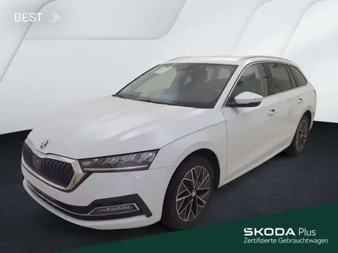 Used SKODA OCTAVIA Diesel 2024 Ad 