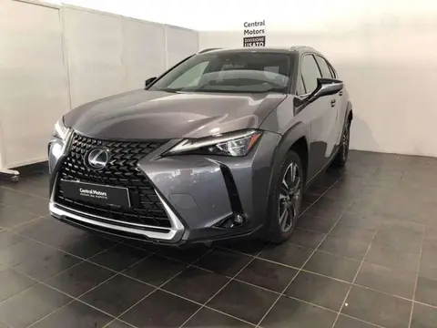 Annonce LEXUS UX Hybride 2019 d'occasion 